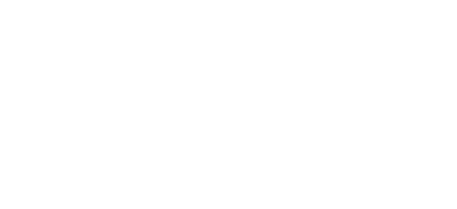 UAI USEYA ADVANCED INDUSTRY